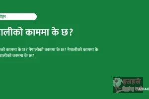 नेपालीको काममा के छ?